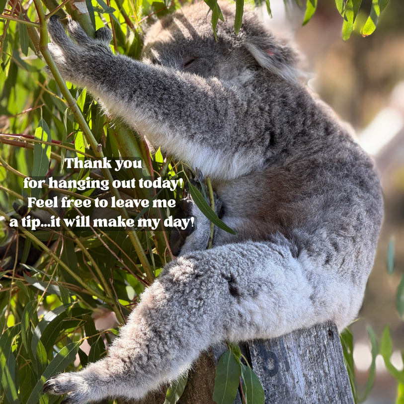 To leave a tip for Dylan...